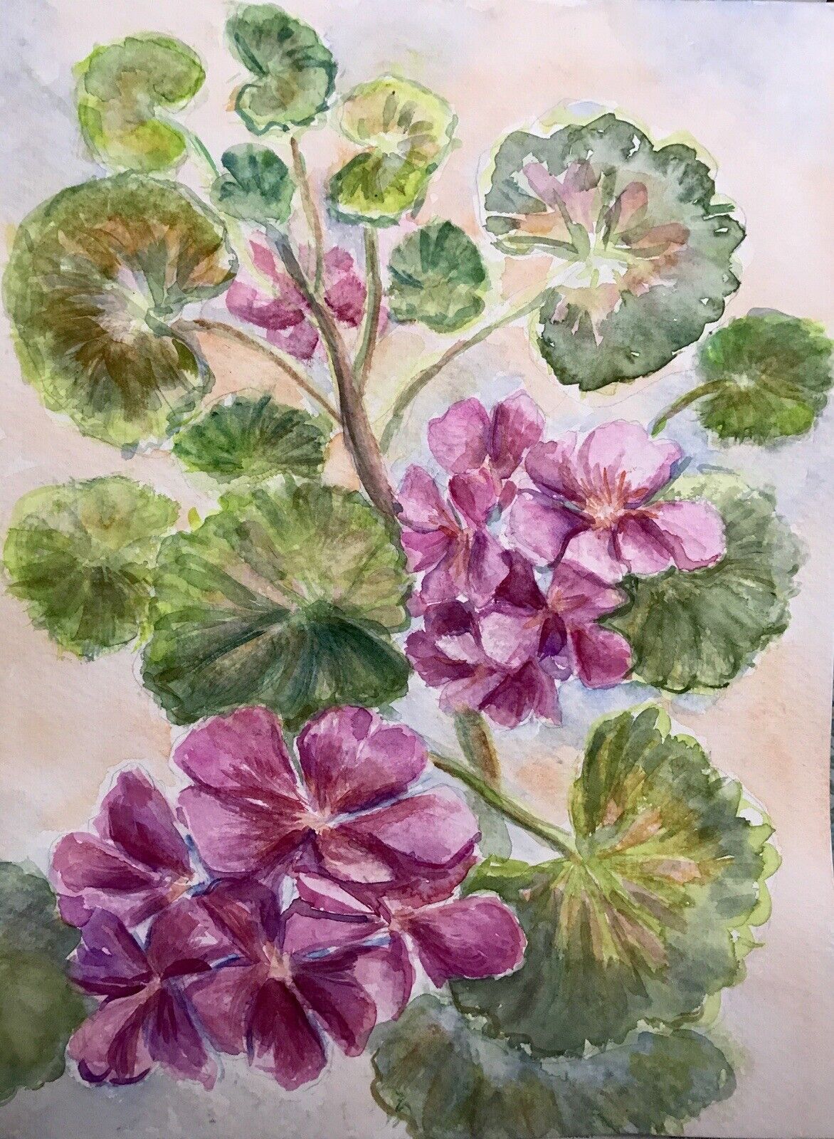 Geranium Still Life Watercolor Painting » Tookey Buxton